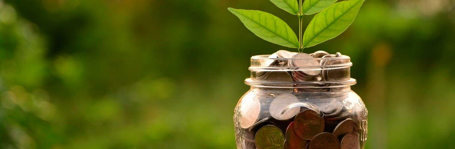 Green plant seedling growing from a glass jar full of coins, symbolising savings growth or financial investment.