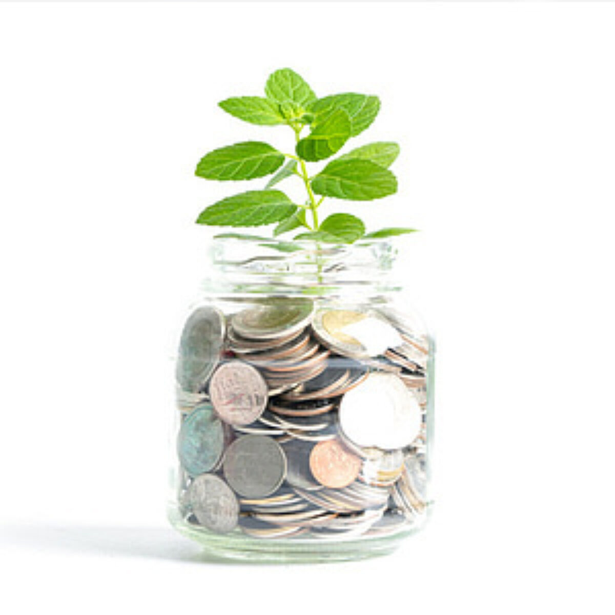 A clear glass jar filled with various coins, with a small green plant sprouting vigorously from the top, symbolising financial growth, savings, or investment potential. Set against a plain white background.