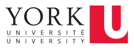 York university